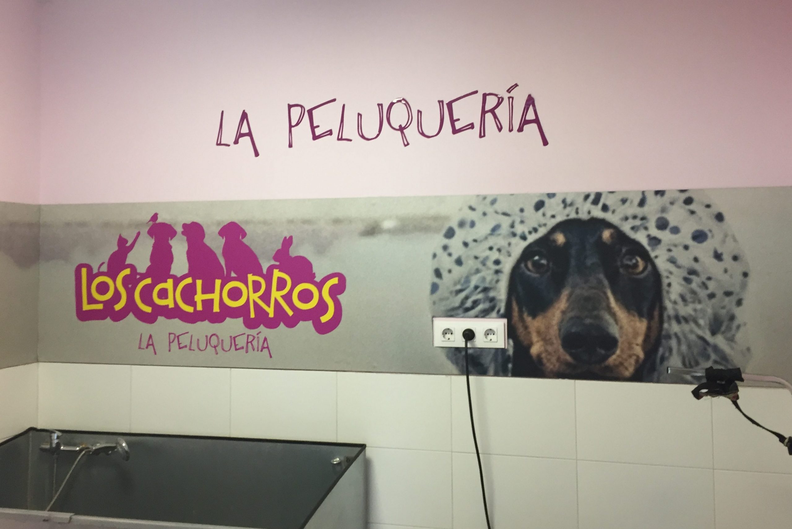 Peluquería Clínica Veterinaria Los Cachorros Polígono de las Mercedes